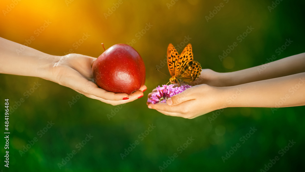 dary natury, jabłko i motyl na dłoni w ogrodzie, dbajmy o przyrode, Dzień Ziemi - obrazy, fototapety, plakaty 