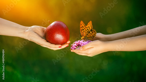 dary natury, jabłko i motyl na dłoni w ogrodzie, dbajmy o przyrode, Dzień Ziemi