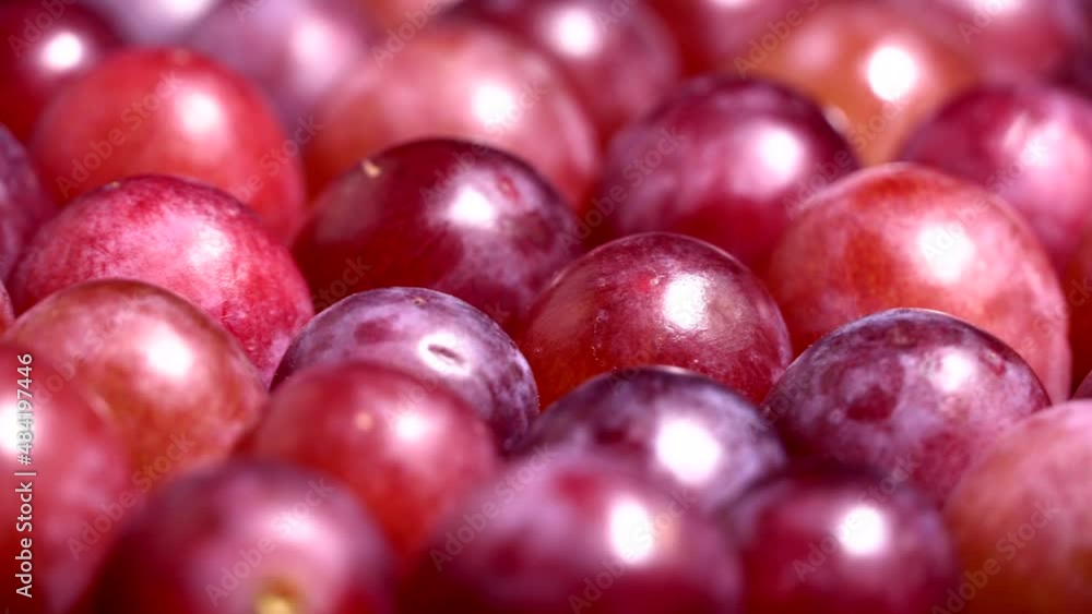 Fresh red grapes rotation background. Close up. Loop motion Fresh red grapes rotation background. Close up. Loop motion