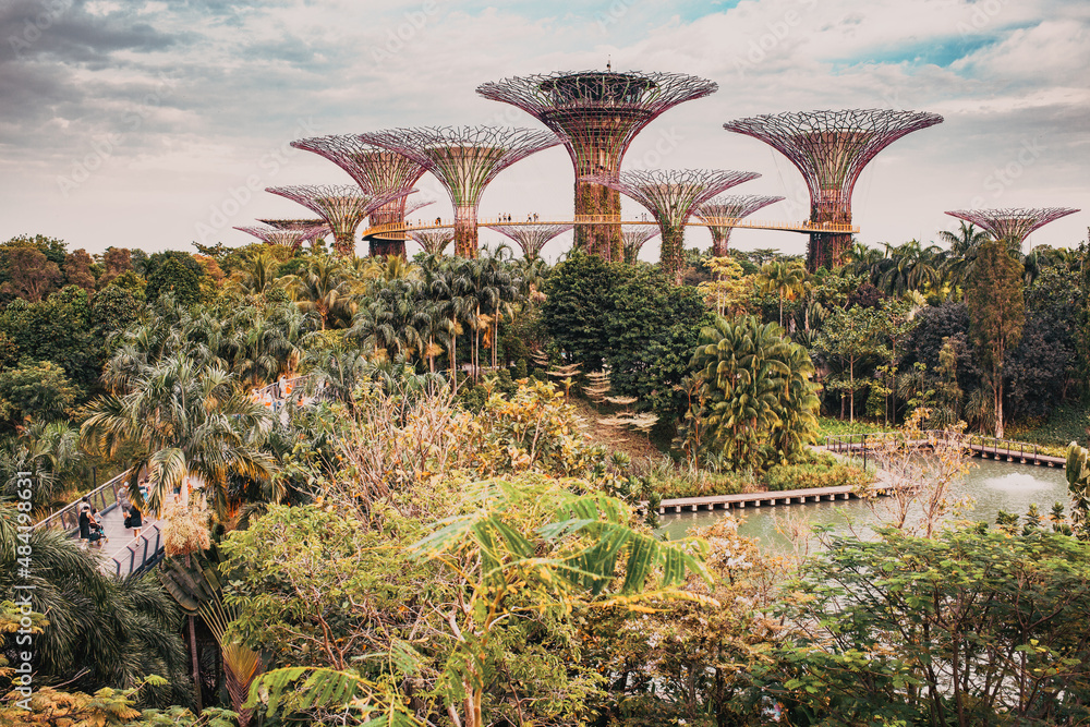 Fototapeta premium SINGAPORE, SINGAPORE - MARCH 2019: The Supertree Grove at Gardens by the Bay in Singapore near Marina Bay Sands hotel