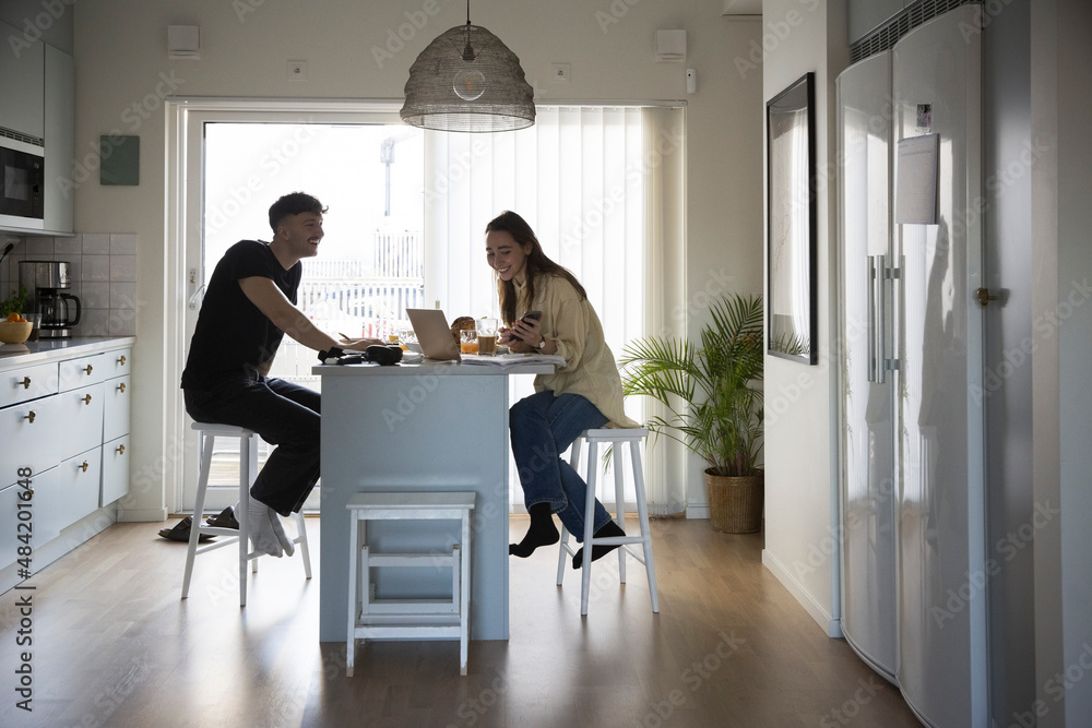 Smiling young couple using laptop while working in kitchen Smiling young couple using laptop while working in kitchen