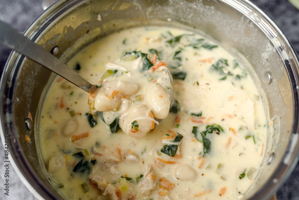 Gnocchi Chicken Soup. Traditional Italian chicken gnocchi soup with spinach, cream and carrots. 