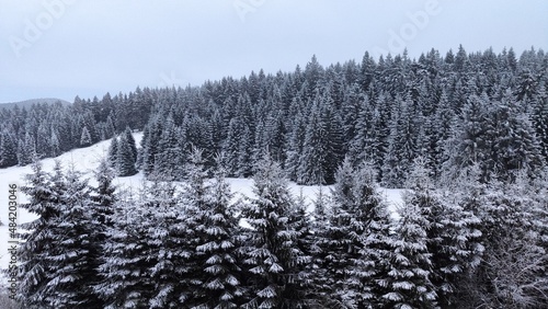 Schnee im Winter Winter in Winterberg