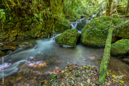 Small wild mountain river Rio Savegre, long exposure and milky water. Stunning landscape of wilderness and pure nature. San Gerardo de Dota, Costa Rica.