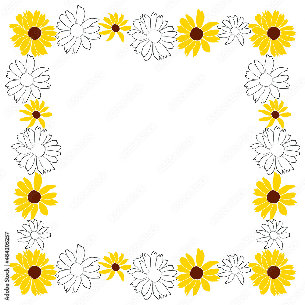 Border of open heliopsis blossom vector outline and color illustration isolated on white background. Vector sketch style top view hand drawing of wild, heliopsis, false sunflower.