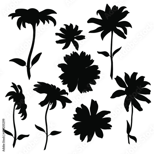 Set of open heliopsis blossom vector negative silhouette illustration isolated on white background. Vector sketch style top view hand drawing of wild, heliopsis, false sunflower.