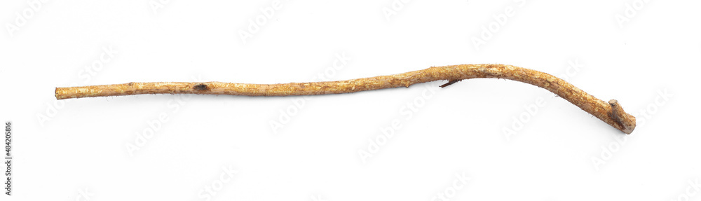 ancient sticks for walking isolated on white background ancient sticks for walking isolated on white background