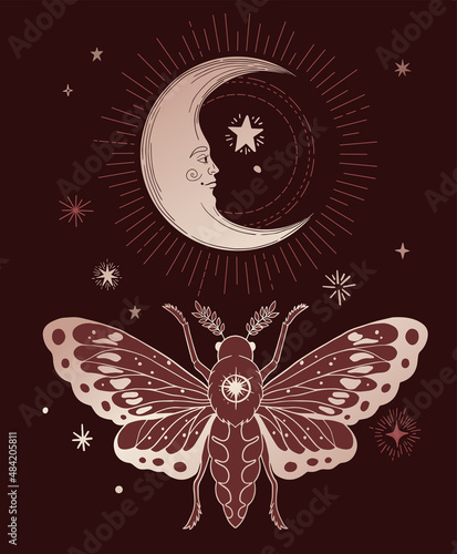 black and gold illustration of moth in black and gold colours with moon
