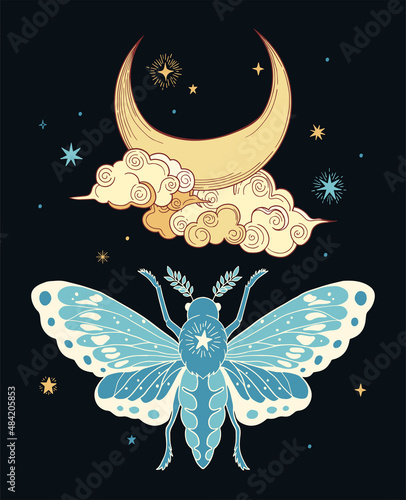 colorfull illustration of moth in blue and yellow colours with moon