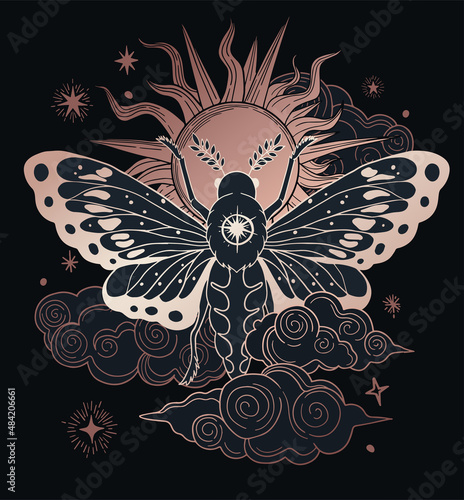black and gold illustration of moth in black and gold colours with sun