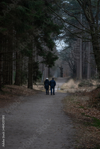 Couple wandering in the forrest