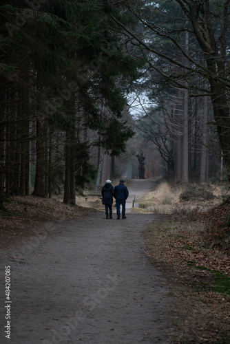 Couple wandering in the forrest © thijs