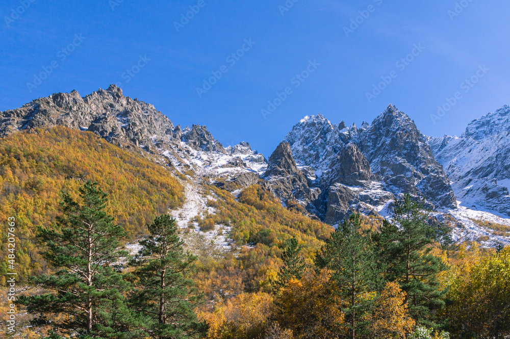 Snow in autumn in the mountains.White snow and yellowed trees in autumn in the mountains on a clear day. The Caucasus Mountains in North Ossetia. Landscape in the mountains and blue sky with clouds