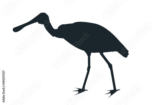 Black silhouette of a black-faced spoonbill bird (Platalea minor)