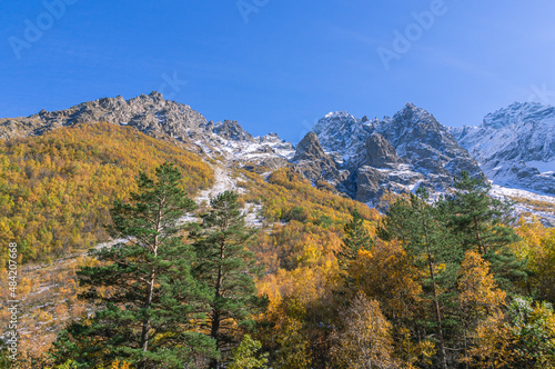 Snow in autumn in the mountains.White snow and yellowed trees in autumn in the mountains on a clear day. The Caucasus Mountains in North Ossetia. Landscape in the mountains and blue sky with clouds