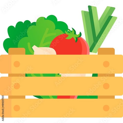 Food grocery vegetable market box icon vector