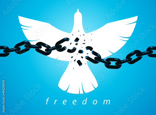 Bird flying up into sky and broken chain in front freedom concept vector poster, liberty and human rights allegory, career or business ambitions, dove spread wings.