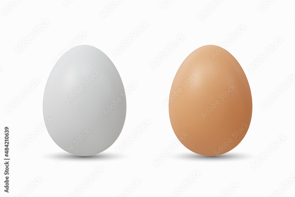 3d Realistic White Brown Eggs Vector illustration 3d Realistic White Brown Eggs Vector illustration