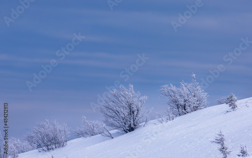 Frozen trees on the slope of a snowy mountain © elena_suvorova