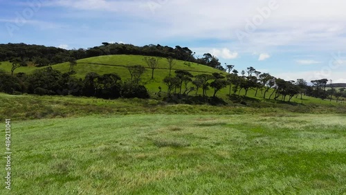 A cattle pasture with green grass among the hills. Ambewela, Nuwara Eliya, Sri Lanka. photo