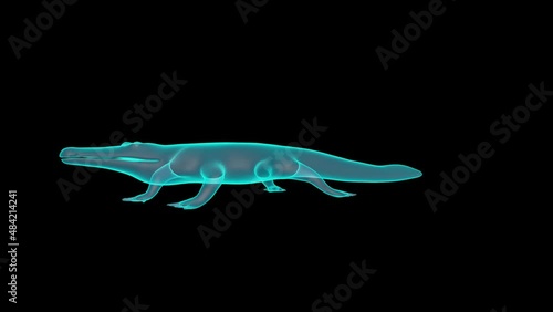 A 3D Holograph of Crocodile in X-ray render. photo