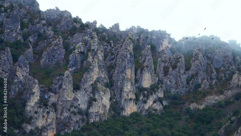 Erosion landscape with fog and griffon vultures flying overhead in the Valdivielso Valley. The Meringues. Burgos, Castilla y Leon, Spain, Europe Erosion landscape with fog and griffon vultures flying overhead in the Valdivielso Valley. The Meringues. Burgos, Castilla y Leon, Spain, Europe