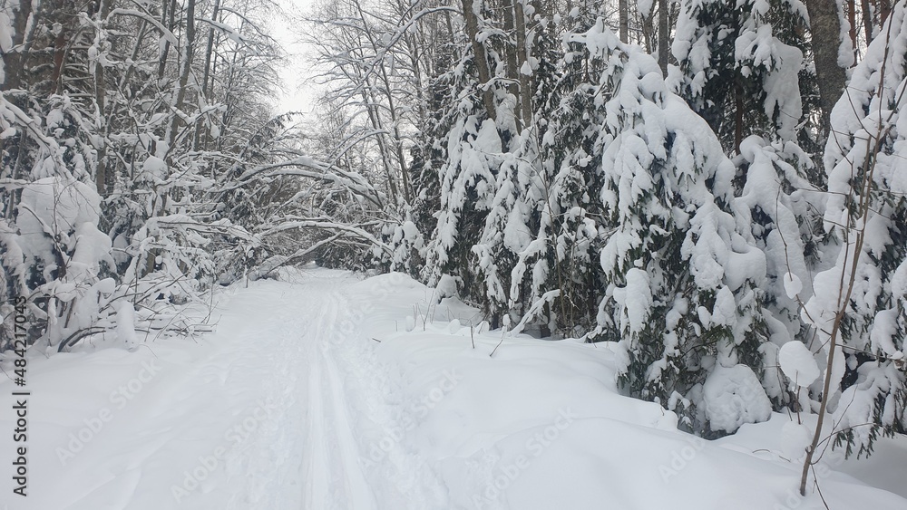 snow covered road snow covered road