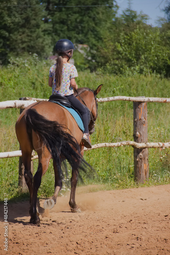 lessons for children in the equestrian school, horseback riding school