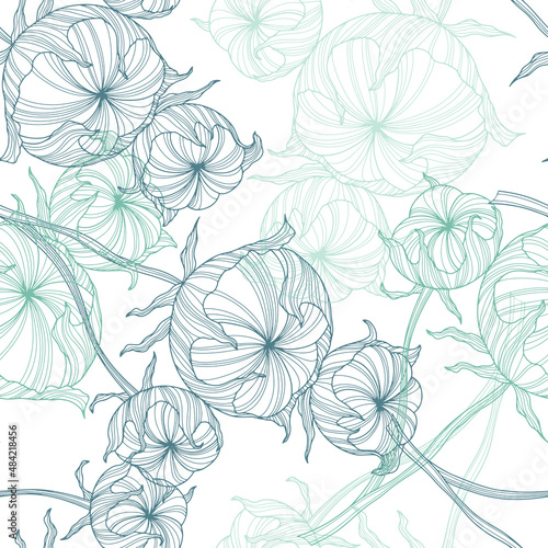 Pattern with flower. Vector hand drawn 