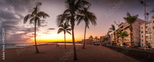 View of palm trees on Playa del Reducto at sunset, Arrecife, Lanzarote, Canary Islands photo
