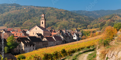 Riquewhir in autumn, Alsace, Alsatian Wine Route, Haut-Rhin, France