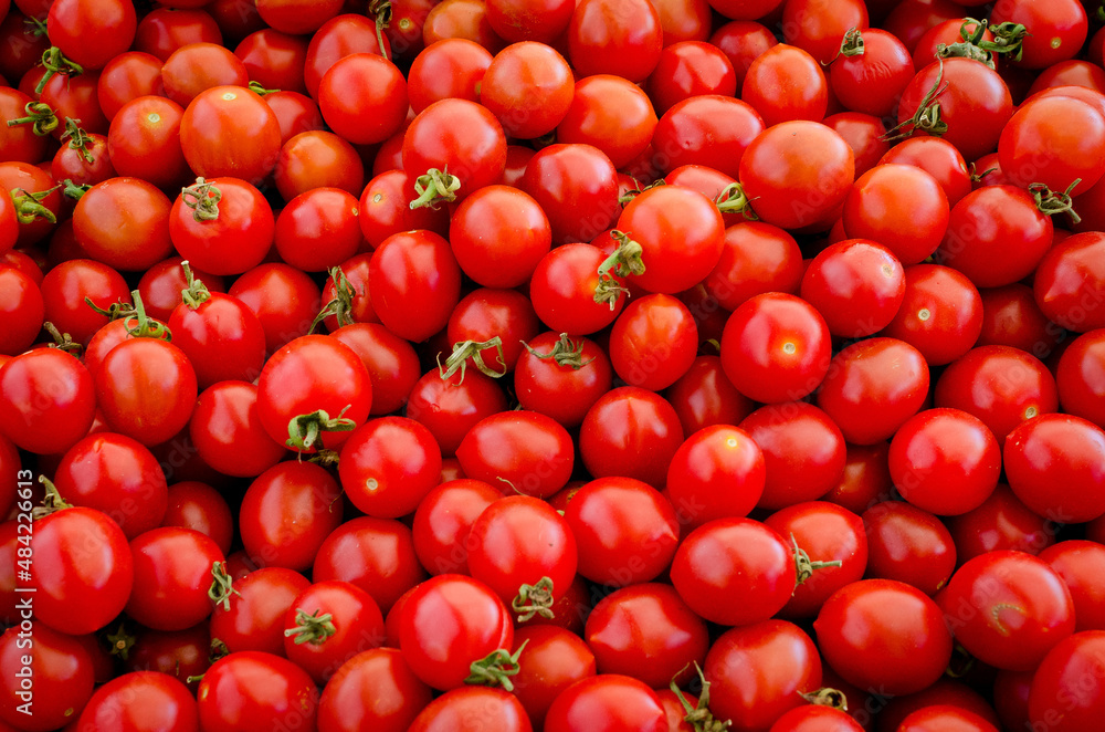 Tomatos Tomatos