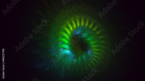 3D rendering abstract colorful fractal light background