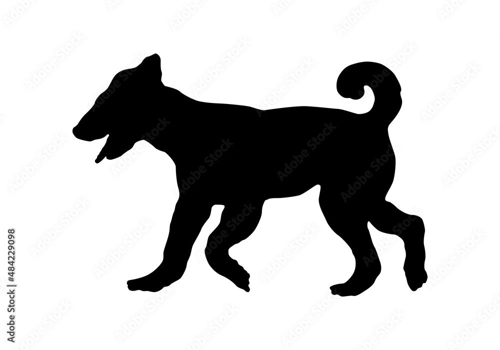 Black dog silhouette. Running airdale terrier puppy. Bingley terrier or waterside terrier. Pet animals. Isolated on a white background. Black dog silhouette. Running airdale terrier puppy. Bingley terrier or waterside terrier. Pet animals. Isolated on a white background.