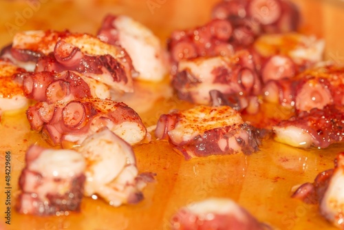 Macro detail of Galician octopus  typical food of the gastronomy of Galicia  Spain .