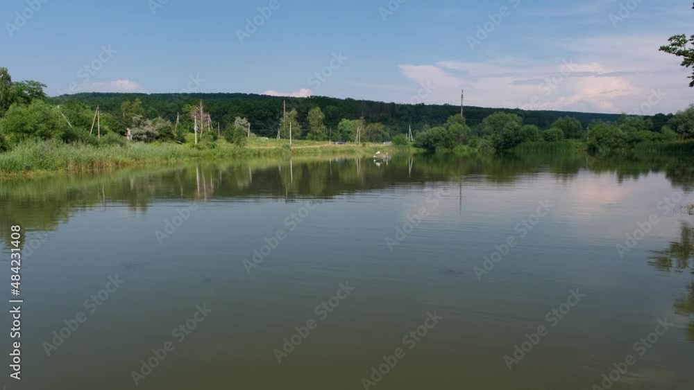 The Lake Near the Forest in Summer