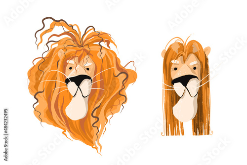 Lion s mane before and after hair straightening