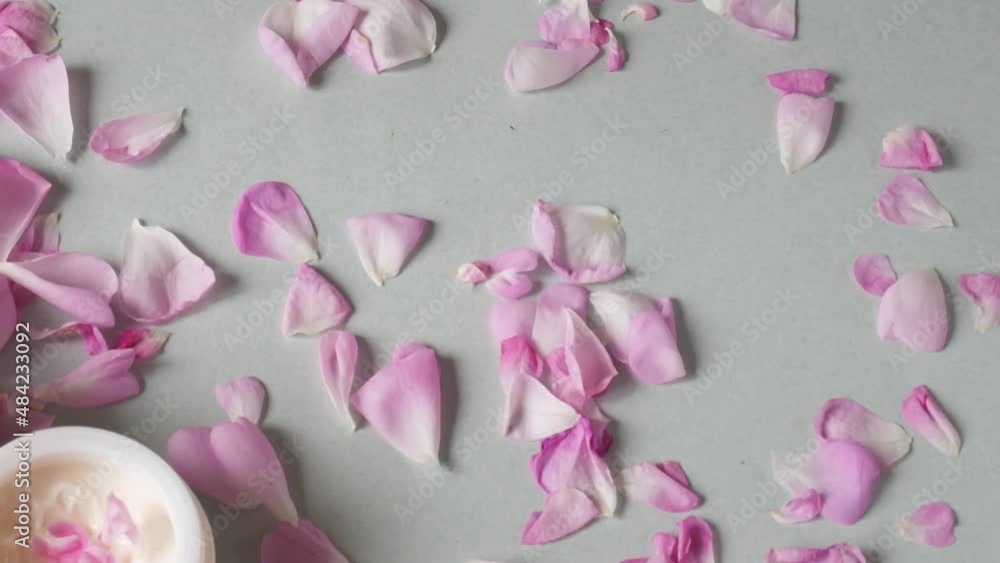 Cream cosmetic in bottle, fresh pink rose flowers and petals, natural cosmetic Cream cosmetic in bottle, fresh pink rose flowers and petals, natural cosmetic