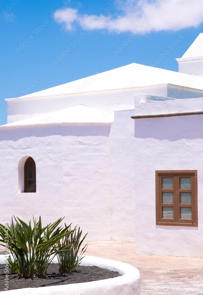 Travel aesthetic wallpaper. Plant and architecture. Canary island