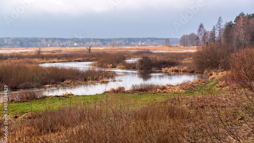  Rozlewiska rzeki Narwi, Podlasie, Polska