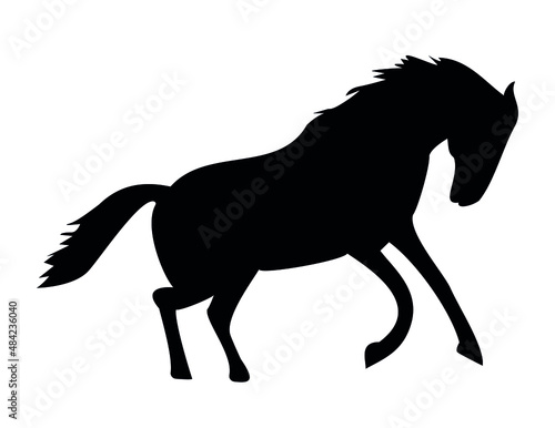 Running horse black silhouette of an animal