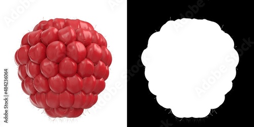 3D rendering illustration of a raspberry © Francesco Milanese