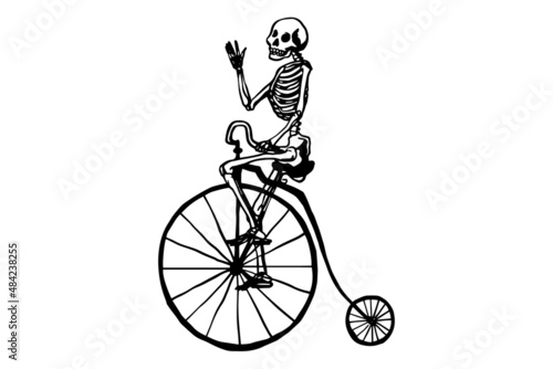 Human skeleton movement isolated on white background