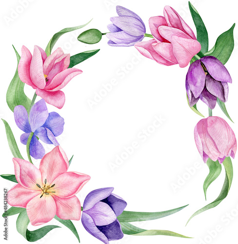 Fototapeta Naklejka Na Ścianę i Meble -  watercolor wreath with pink and purple tulips