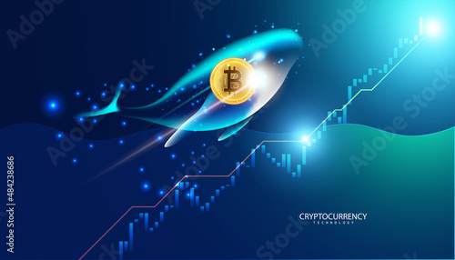 Bitcoin in the background, online decentralized finance concept, transactions and graphs with whales.