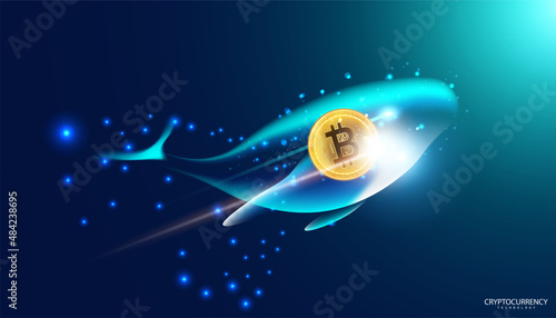 Bitcoin in the background, online decentralized finance concept, transactions and graphs with whales.