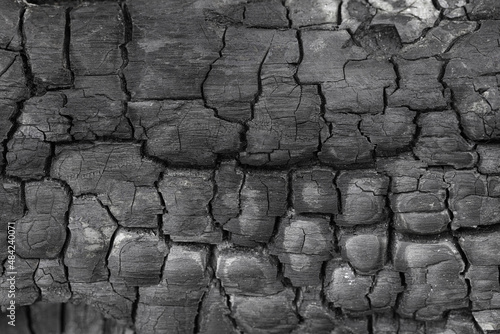 Burned carbonized wood texture surface details closeup photo