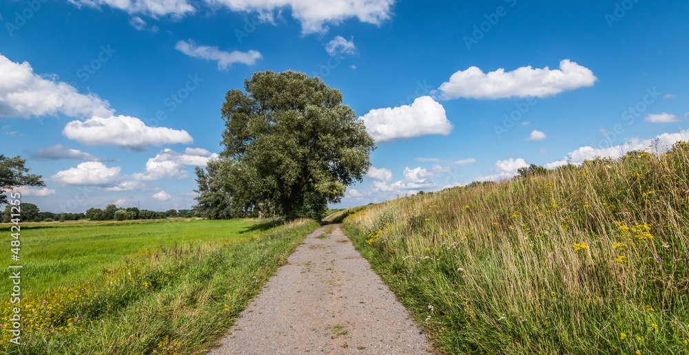 Hiking trail with tree in the field, Viersel Gebroekt, Zandhoven, Antwerp. Hiking trail with tree in the field, Viersel Gebroekt, Zandhoven, Antwerp.