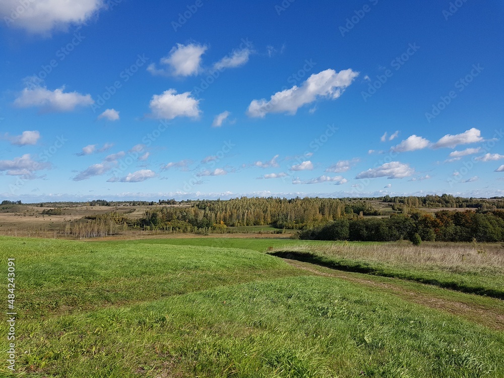 Panorama of a green field and a forest in the background on a sunny spring day