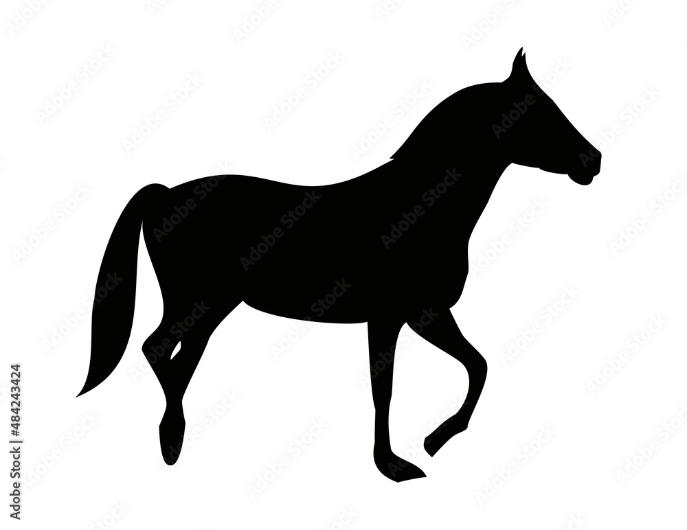 A standing horse is a black silhouette of an animal. The animal raised its front leg. A standing horse is a black silhouette of an animal. The animal raised its front leg.